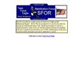Bosnia - Task Force Eagle