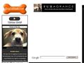 DogCatRadio
