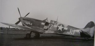 USAAF Spitfire6.jpg
