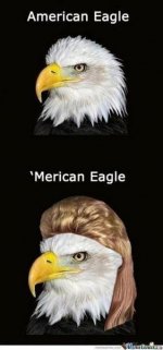 merica.jpg