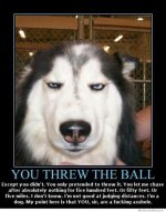 you-sir-are-an-*******.jpg