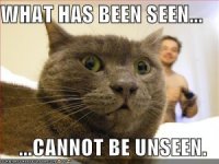 what has been seen2.jpg