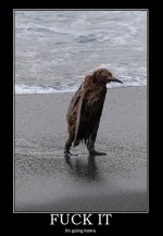 Penguin.jpg