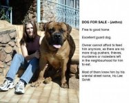 Ho Lee Schitt.jpg