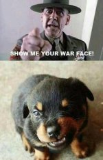 War Face.jpg