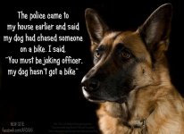 GSD.jpg