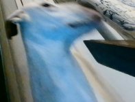 dd009f06-bfc4-43df-b065-9a126b814488.jpeg