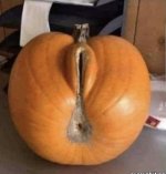 IMG_5718.jpeg