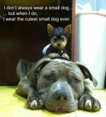 IMG_20240520_233631.png