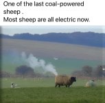 IMG_6529.jpeg