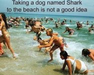 IMG_6881.jpeg