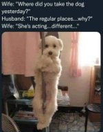IMG_6923.jpeg