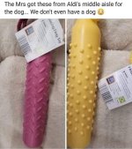 IMG_6979.jpeg
