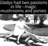 1743278686349.png.jpg