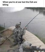 images.jpeg