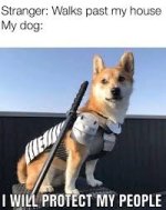images (3).jpeg