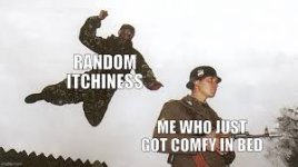 images.jpeg