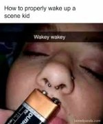 download.jpeg