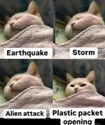 1000010879.jpg