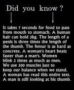 1745057328559.png.webp