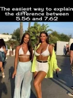 1746123150376.png.webp