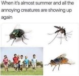 IMG_7557.jpeg