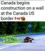 1746623777384.png.jpg
