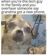 images.jpeg