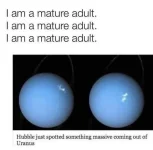 000_n.jpg.webp