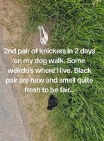 IMG_7768.jpeg