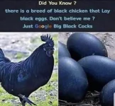 1748725736019.png.webp