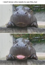 1750217206026.png.webp