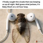1750492412236.png.webp