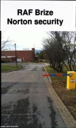 IMG_8015.jpeg