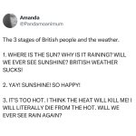 IMG_8035.jpeg