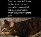 1000026511.jpg