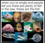 1751235936865.png.webp
