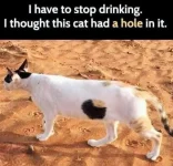 1751820100789.png.webp