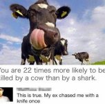 IMG_8237.jpeg