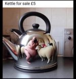 IMG_8282.jpeg