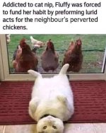 IMG_8335.jpeg