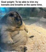 1753206539915.jpeg