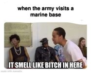 IMG_8366.jpeg