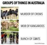 1000000029.jpg