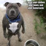 1754098012612.png.webp