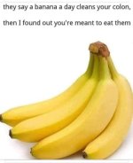 IMG_8472.jpeg