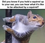 1754399417718.jpeg.webp