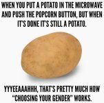 IMG_1164.jpeg.jpg