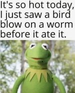 1755276895293.jpeg.jpg