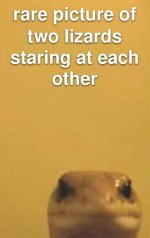 1000015616.png.jpg